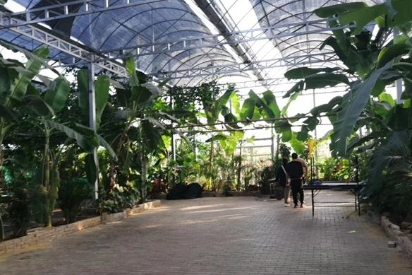 【美丽南方 大棚烧烤】南宁美丽南方红枣园烧烤场