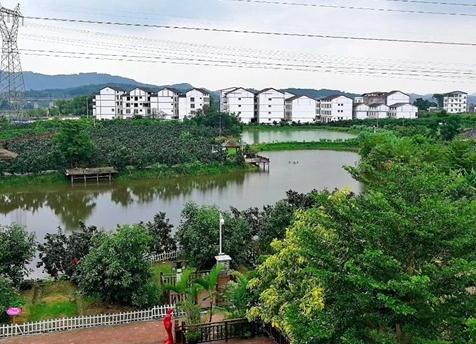 【美丽南方 水果采摘】广西南宁美丽南方烟农名优台湾水果园