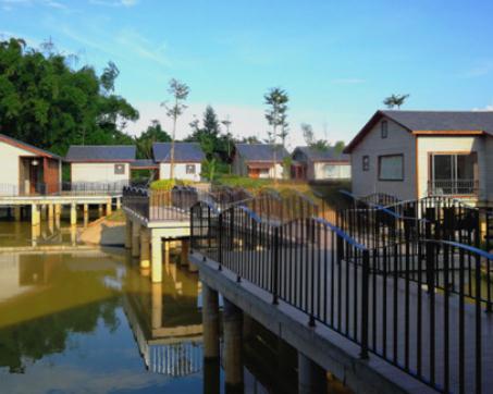 【美丽南方 紫薇庄园】南宁石埠忠良村美丽南方紫薇庄园