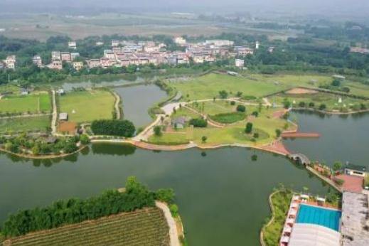 南宁隆安那桐镇广西金穗生态园